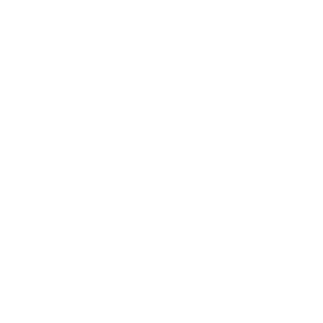 TDK